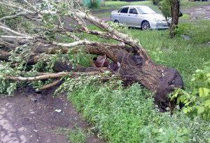 Буря в тольятти сегодня